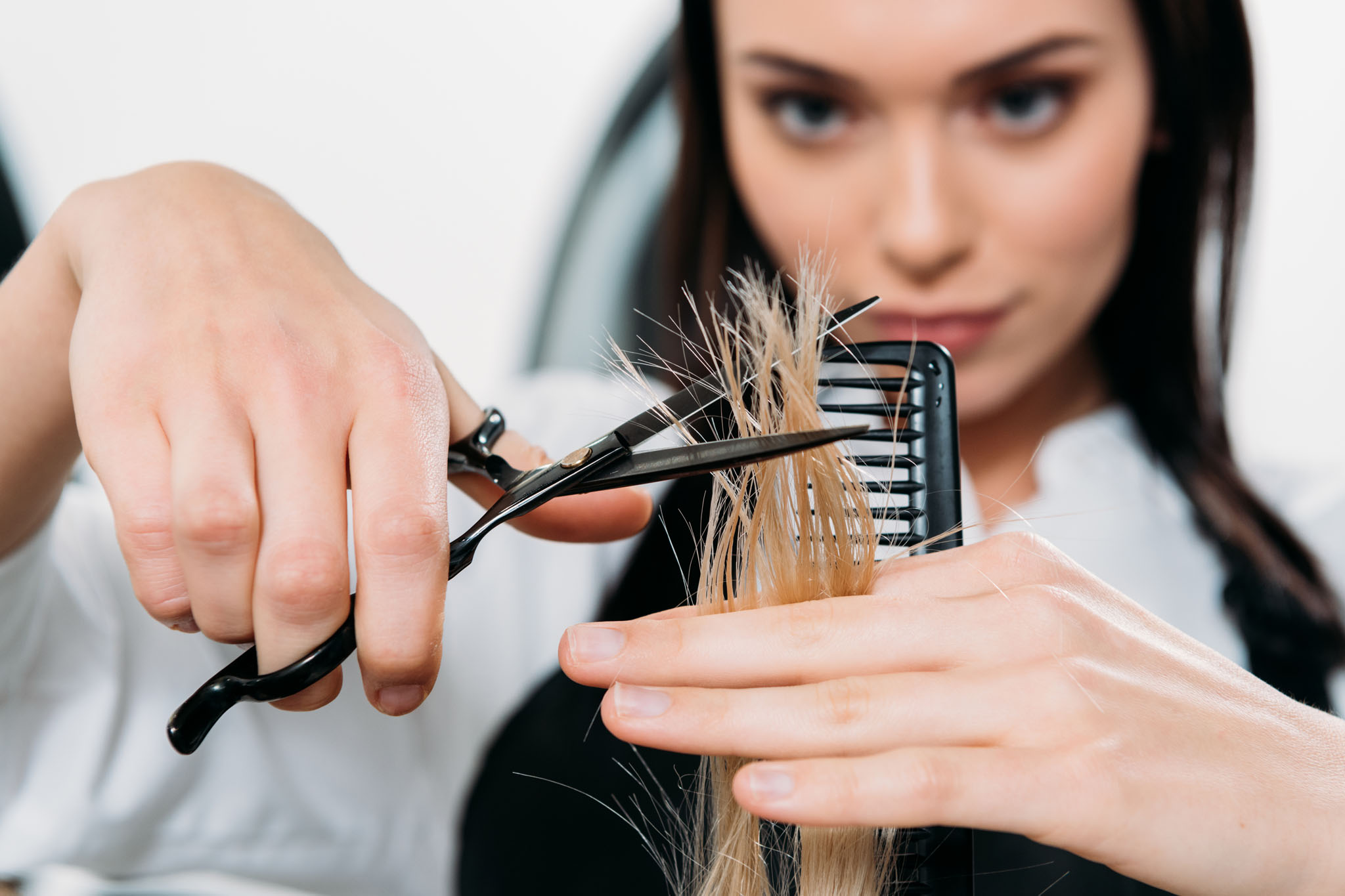 Beauty and Style: Your ideal partner in the world of hairdressing